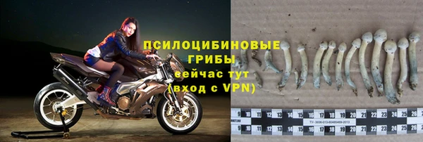 СК Анива