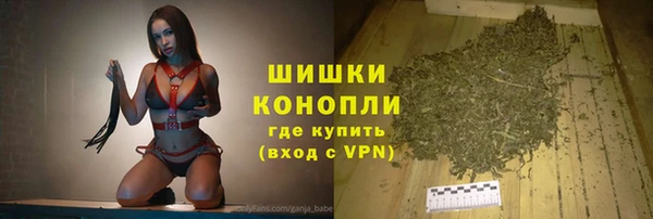 прущие грибы Козельск