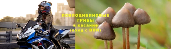 мяу мяу мука Киреевск