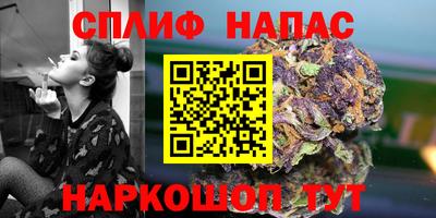 скорость Гай