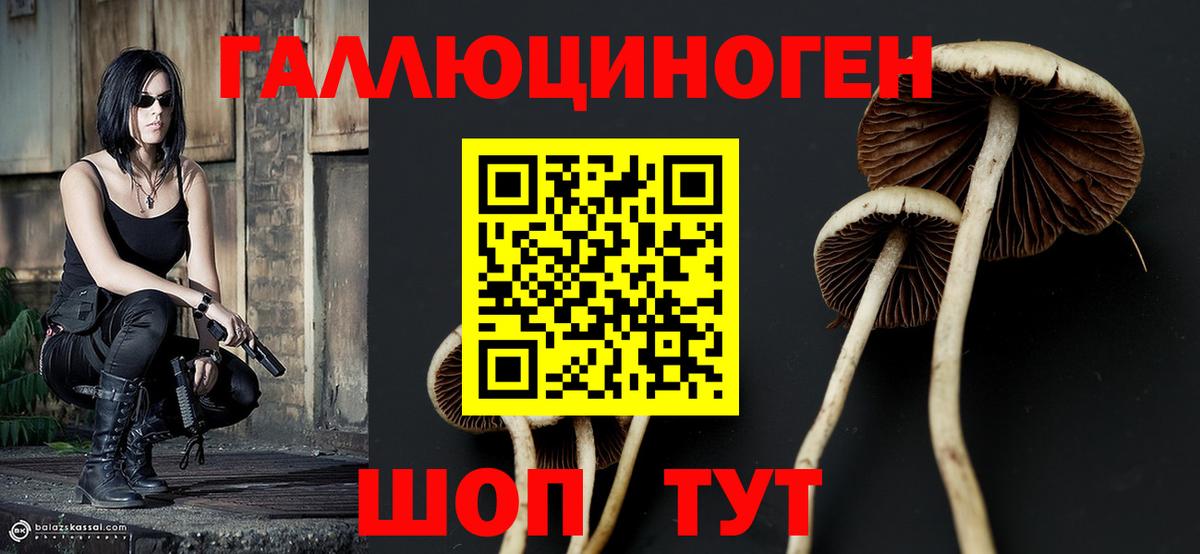 Псилоцибиновые грибы мухоморы Кудрово