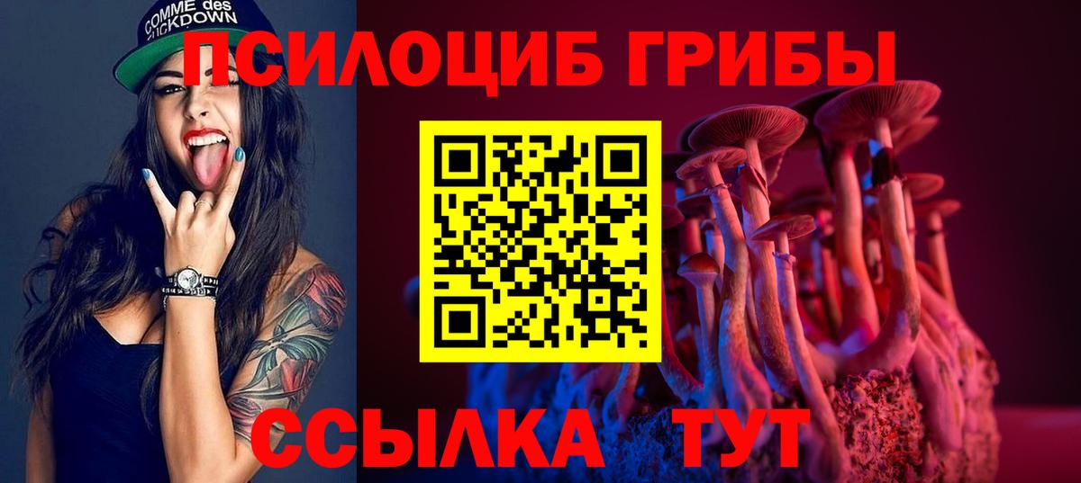 Кудрово  Псилоцибиновые грибы MAGIC MUSHROOMS  Вход с VPN  Галлюциногенные грибы Cubensis 