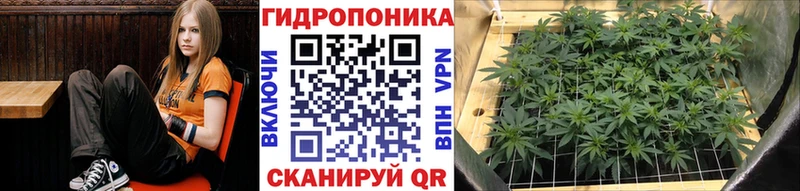 МАРИХУАНА VHQ Кудрово