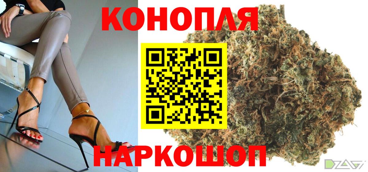 Кудрово  Бошки марихуана тримм  Марихуана White Widow  Вход с VPN 